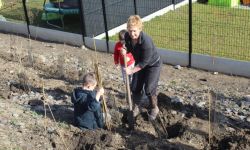 Plantations Cavalier   036